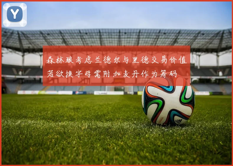 森林狼考虑兰德尔与里德交易价值若欲换字母需附加麦丹作为筹码